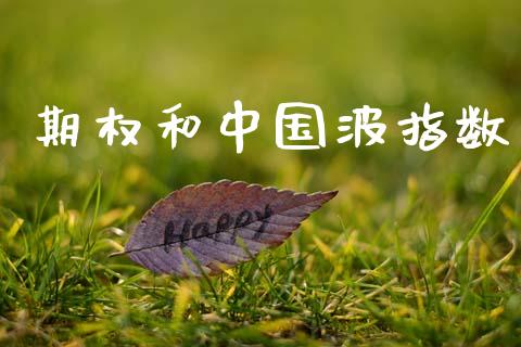 期权和中国波指数_https://wap.ycdhulan.com_财务投资_第1张
