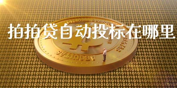 拍拍贷自动投标在哪里_https://wap.ycdhulan.com_货币市场_第1张