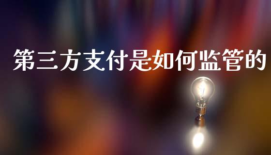 第三方支付是如何监管的_https://wap.ycdhulan.com_财经新闻_第1张