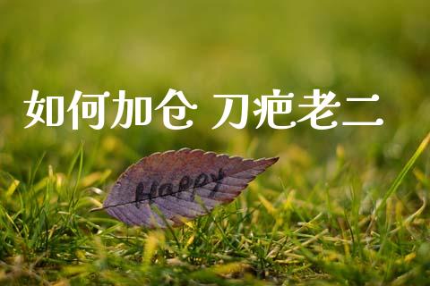 如何加仓 刀疤老二_https://wap.ycdhulan.com_财务投资_第1张