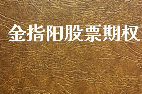 金指阳股票期权_https://wap.ycdhulan.com_财务投资_第1张