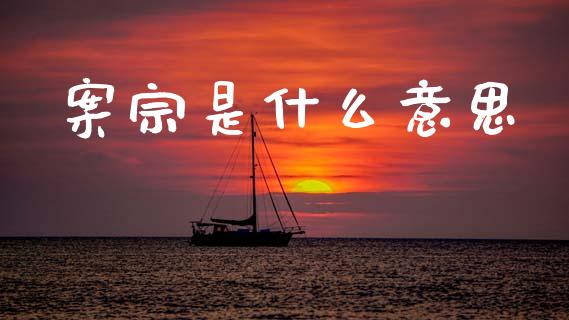 案宗是什么意思_https://wap.ycdhulan.com_财务投资_第1张