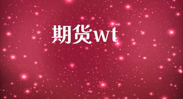 期货wt_https://wap.ycdhulan.com_货币市场_第1张