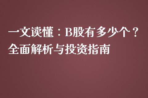 一文读懂：B股有多少个？全面解析与投资指南_https://wap.ycdhulan.com_金融咨询_第1张