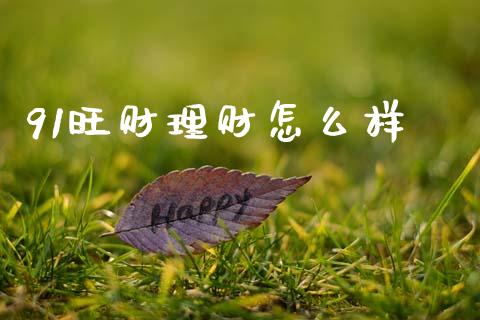 91旺财理财怎么样_https://wap.ycdhulan.com_金融咨询_第1张