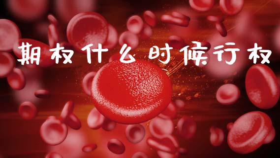 期权什么时候行权_https://wap.ycdhulan.com_投资基金_第1张