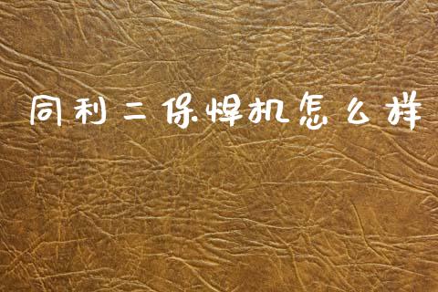 同利二保焊机怎么样_https://wap.ycdhulan.com_国际财经_第1张