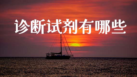 诊断试剂有哪些_https://wap.ycdhulan.com_金融咨询_第1张