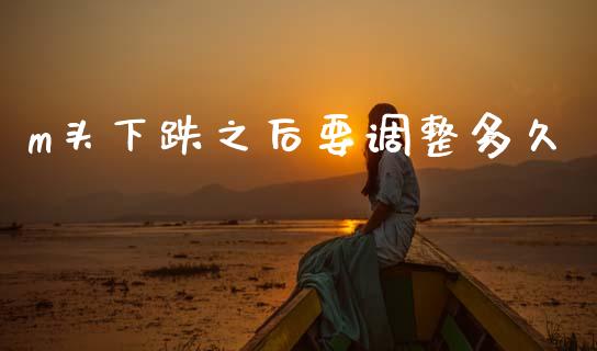 m头下跌之后要调整多久_https://wap.ycdhulan.com_货币市场_第1张