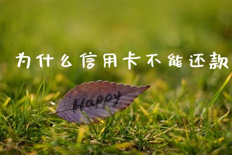 为什么信用卡不能还款_https://wap.ycdhulan.com_投资基金_第1张
