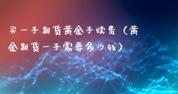 买一手期货黄金手续费（黄金期货一手需要多少钱）_https://wap.ycdhulan.com_金融咨询_第1张