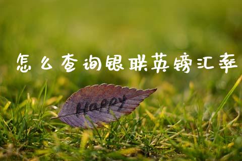 怎么查询银联英镑汇率_https://wap.ycdhulan.com_财经新闻_第1张