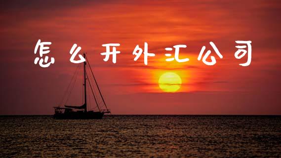 怎么开外汇公司_https://wap.ycdhulan.com_财务投资_第1张