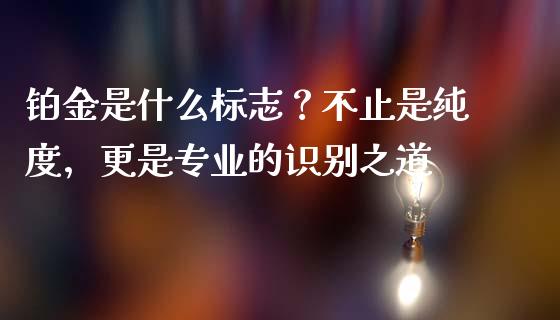 铂金是什么标志？不止是纯度，更是专业的识别之道_https://wap.ycdhulan.com_投资基金_第1张
