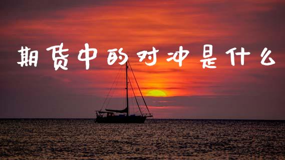 期货中的对冲是什么_https://wap.ycdhulan.com_财经新闻_第1张