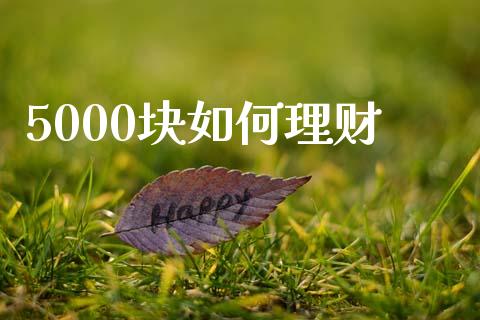 5000块如何理财_https://wap.ycdhulan.com_财务投资_第1张