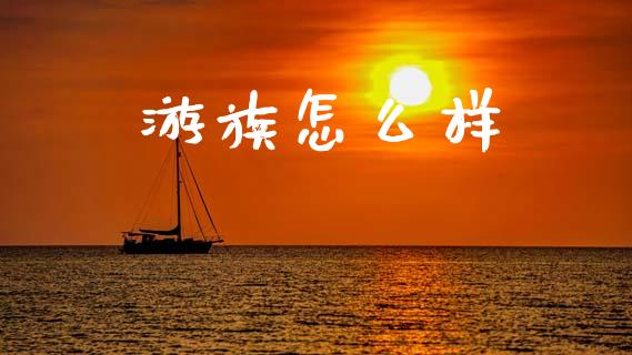 游族怎么样_https://wap.ycdhulan.com_财务投资_第1张