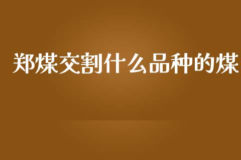 郑煤交割什么品种的煤_https://wap.ycdhulan.com_财经新闻_第1张