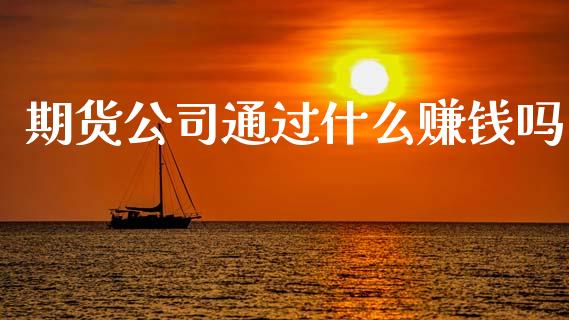 期货公司通过什么赚钱吗_https://wap.ycdhulan.com_金融咨询_第1张