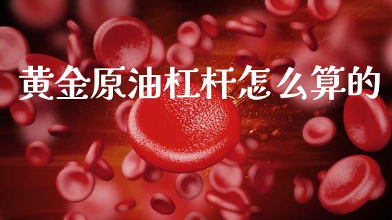 黄金原油杠杆怎么算的_https://wap.ycdhulan.com_投资基金_第1张