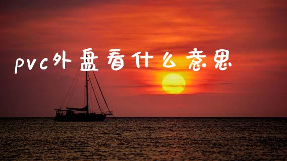 pvc外盘看什么意思_https://wap.ycdhulan.com_国际财经_第1张