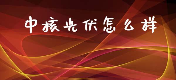 中核光伏怎么样_https://wap.ycdhulan.com_投资基金_第1张