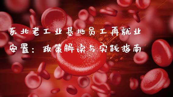 东北老工业基地员工再就业安置：政策解读与实践指南_https://wap.ycdhulan.com_金融咨询_第1张