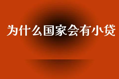 为什么国家会有小贷_https://wap.ycdhulan.com_国际财经_第1张