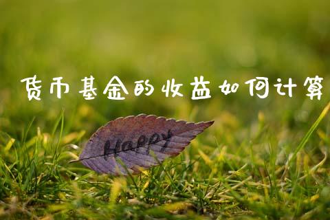 货币基金的收益如何计算_https://wap.ycdhulan.com_国际财经_第1张