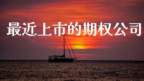 最近上市的期权公司_https://wap.ycdhulan.com_货币市场_第1张