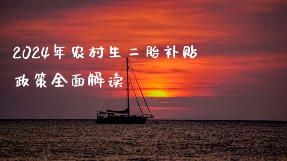 2024年农村生二胎补贴政策全面解读_https://wap.ycdhulan.com_投资基金_第1张