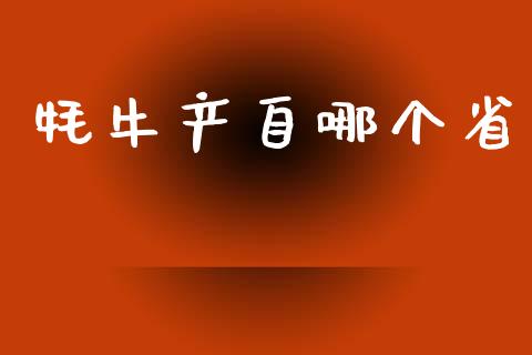 牦牛产自哪个省_https://wap.ycdhulan.com_财经新闻_第1张