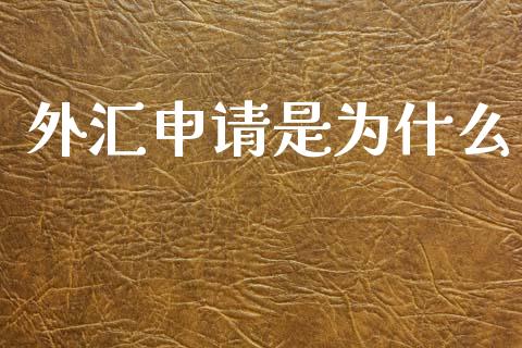 外汇申请是为什么_https://wap.ycdhulan.com_财务投资_第1张