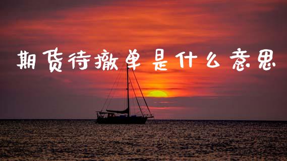 期货待撤单是什么意思_https://wap.ycdhulan.com_金融咨询_第1张