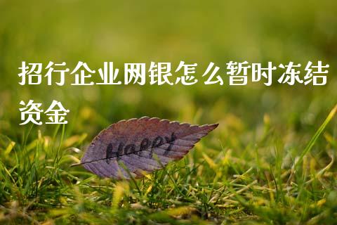 招行企业网银怎么暂时冻结资金_https://wap.ycdhulan.com_财经新闻_第1张