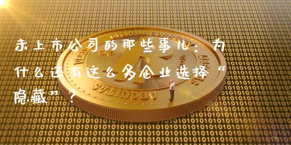 未上市公司的那些事儿：为什么还有这么多企业选择“隐藏”？_https://wap.ycdhulan.com_金融咨询_第1张