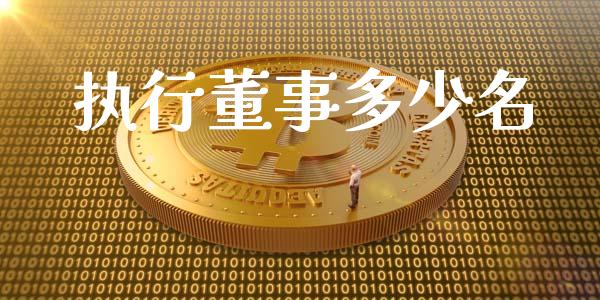 执行董事多少名_https://wap.ycdhulan.com_投资基金_第1张