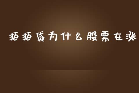 拍拍贷为什么股票在涨_https://wap.ycdhulan.com_国际财经_第1张