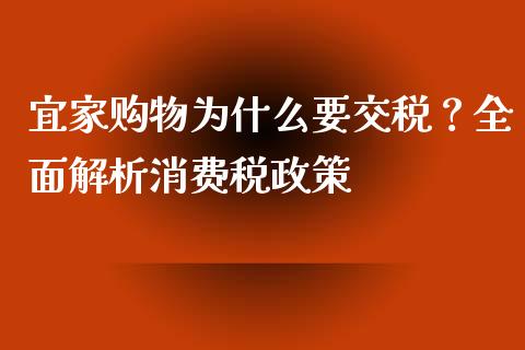宜家购物为什么要交税？全面解析消费税政策_https://wap.ycdhulan.com_国际财经_第1张