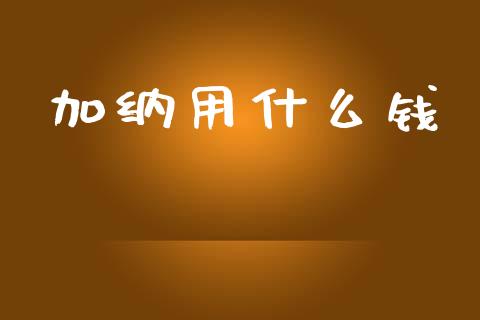 加纳用什么钱_https://wap.ycdhulan.com_国际财经_第1张
