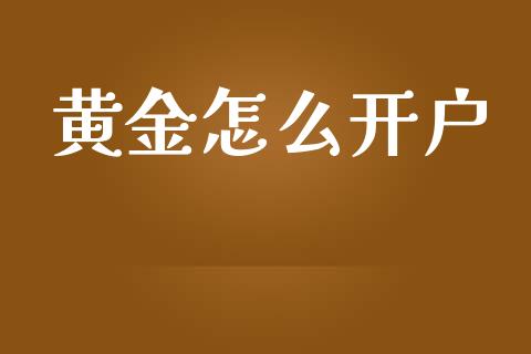 黄金怎么开户_https://wap.ycdhulan.com_财务投资_第1张