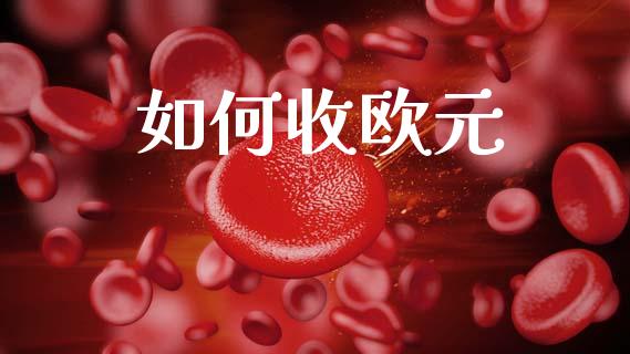 如何收欧元_https://wap.ycdhulan.com_金融咨询_第1张