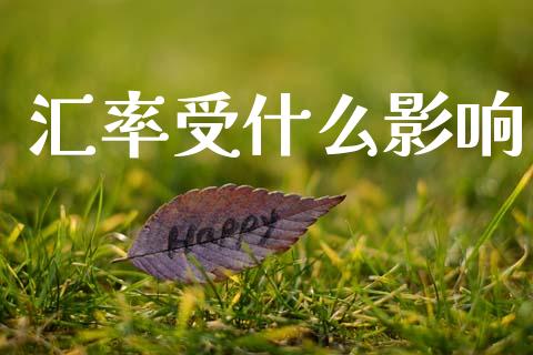 汇率受什么影响_https://wap.ycdhulan.com_国际财经_第1张