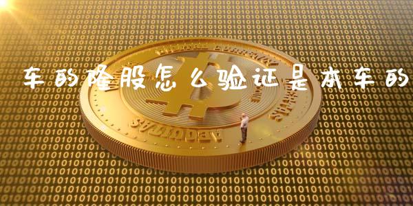 车的隆股怎么验证是本车的_https://wap.ycdhulan.com_投资基金_第1张