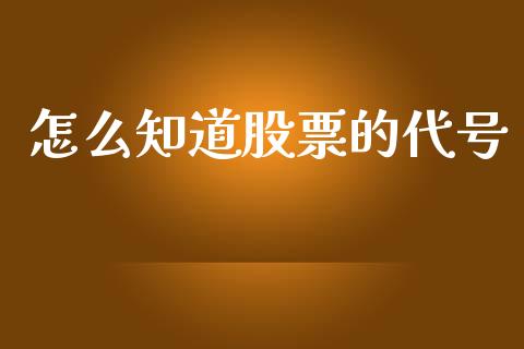怎么知道股票的代号_https://wap.ycdhulan.com_金融咨询_第1张