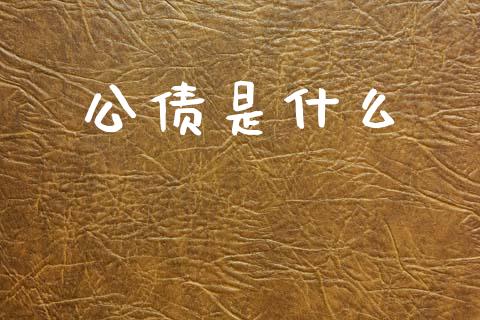 公债是什么_https://wap.ycdhulan.com_国际财经_第1张