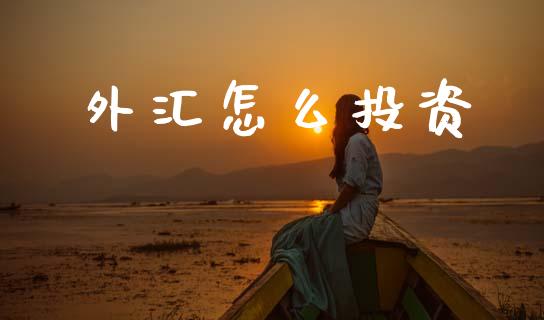 外汇怎么投资_https://wap.ycdhulan.com_国际财经_第1张