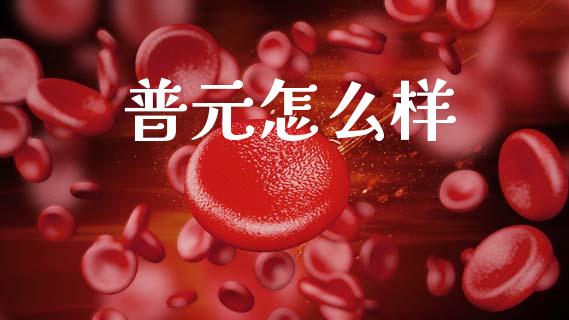 普元怎么样_https://wap.ycdhulan.com_财务投资_第1张