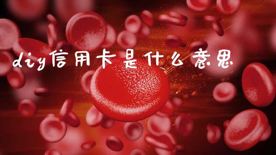 diy信用卡是什么意思_https://wap.ycdhulan.com_投资基金_第1张