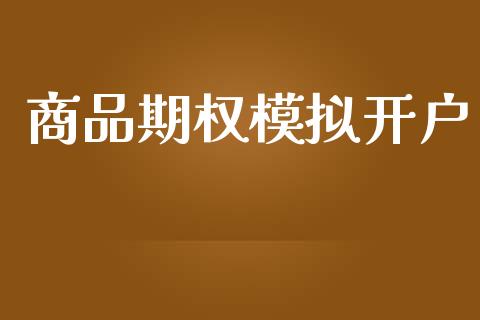 商品期权模拟开户_https://wap.ycdhulan.com_金融咨询_第1张